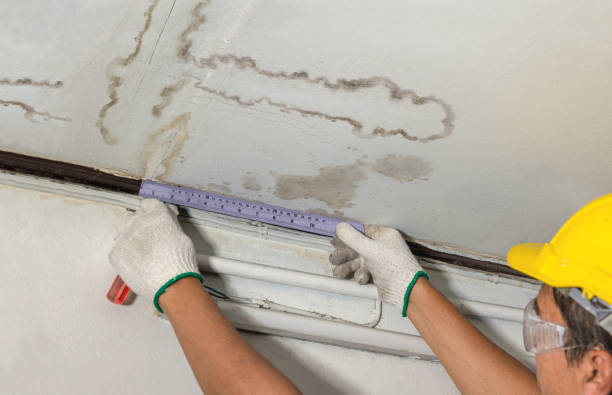Reliable Flood Cleanup contractor in Lenexa, KS by Water Damage Irwin
